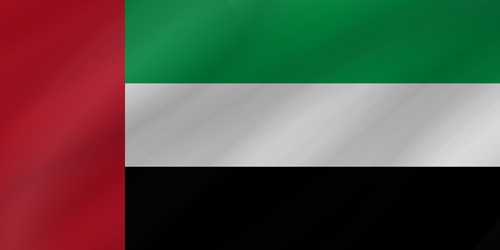 United Arab Emirates flag small