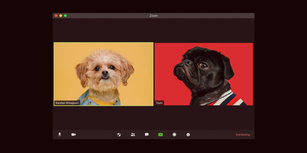 Doggos on Zoom talking, with custom yellow and red backgrounds