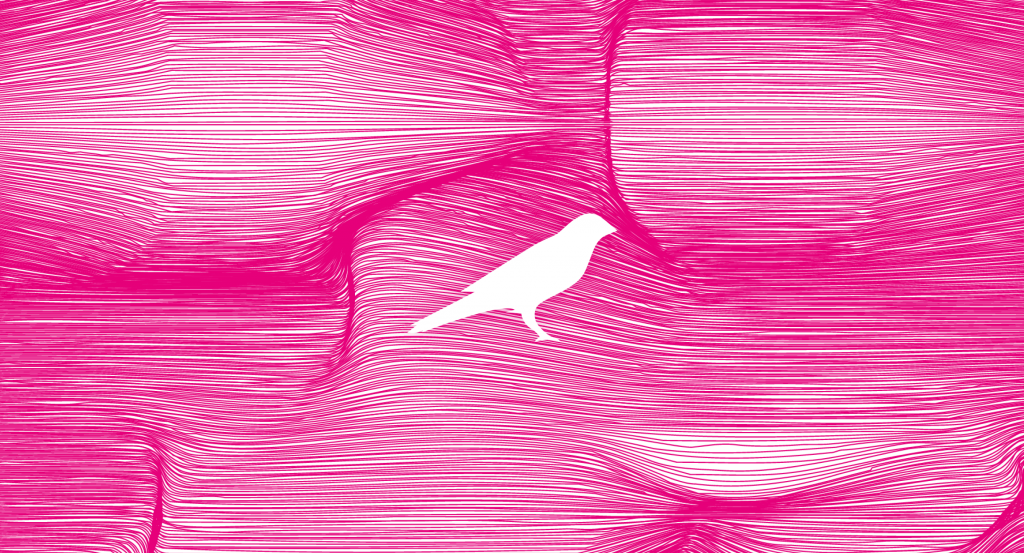 Kusama bird pink